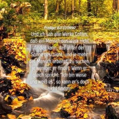 Picture 04 - Prediger 8:17 LUTH1912 - Und ich sah alle Werke Gottes, daß ein Mensch - Bible Verse Picture