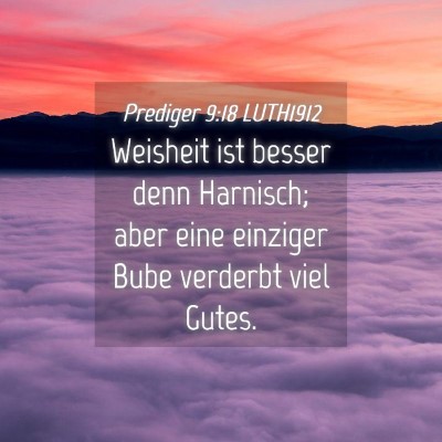 Picture 04 - Prediger 9:18 LUTH1912 - Weisheit ist besser denn Harnisch; aber eine - Bible Verse Picture