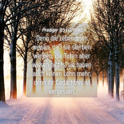 Picture 04 - Prediger 9:5 LUTH1912 - Denn die Lebendigen wissen, daß sie sterben - Bible Verse Picture