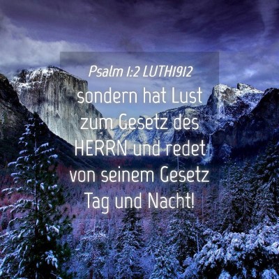Picture 04 - Psalm 1:2 LUTH1912 - sondern hat Lust zum Gesetz des HERRN und redet - Bible Verse Picture