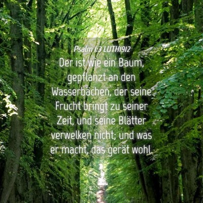 Picture 04 - Psalm 1:3 LUTH1912 - Der ist wie ein Baum, gepflanzt an den - Bible Verse Picture