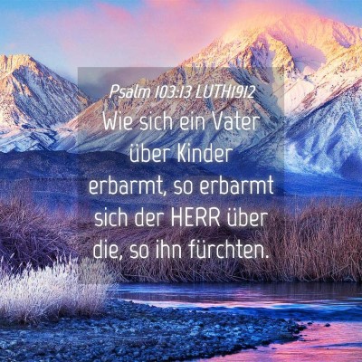 Picture 04 - Psalm 103:13 LUTH1912 - Wie sich ein Vater über Kinder erbarmt, so - Bible Verse Picture