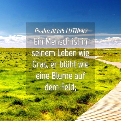 Picture 04 - Psalm 103:15 LUTH1912 - Ein Mensch ist in seinem Leben wie Gras, er - Bible Verse Picture