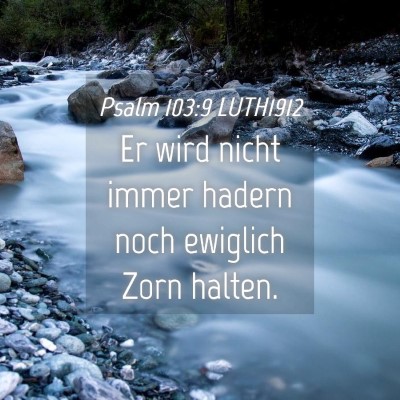 Picture 04 - Psalm 103:9 LUTH1912 - Er wird nicht immer hadern noch ewiglich Zorn - Bible Verse Picture