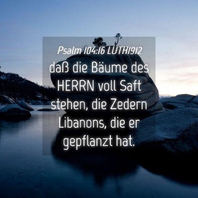 Picture 04 - Psalm 104:16 LUTH1912 - daß die Bäume des HERRN voll Saft stehen, die - Bible Verse Picture