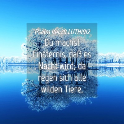 Picture 04 - Psalm 104:20 LUTH1912 - Du machst Finsternis, daß es Nacht wird; da - Bible Verse Picture