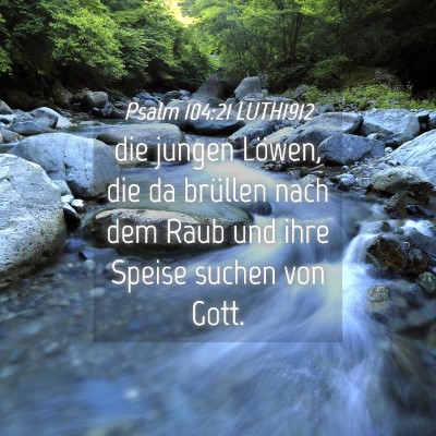 Picture 04 - Psalm 104:21 LUTH1912 - die jungen Löwen, die da brüllen nach dem Raub - Bible Verse Picture