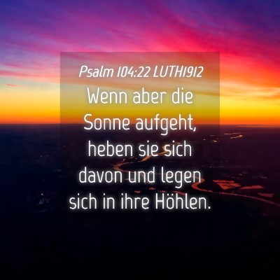 Picture 04 - Psalm 104:22 LUTH1912 - Wenn aber die Sonne aufgeht, heben sie sich davon - Bible Verse Picture