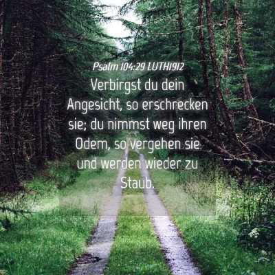 Picture 04 - Psalm 104:29 LUTH1912 - Verbirgst du dein Angesicht, so erschrecken sie; - Bible Verse Picture