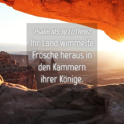 Picture 04 - Psalm 105:30 LUTH1912 - Ihr Land wimmelte Frösche heraus in den Kammern - Bible Verse Picture