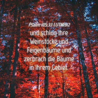 Picture 04 - Psalm 105:33 LUTH1912 - und schlug ihre Weinstöcke und Feigenbäume und - Bible Verse Picture