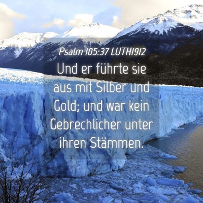 Picture 04 - Psalm 105:37 LUTH1912 - Und er führte sie aus mit Silber und Gold; und - Bible Verse Picture