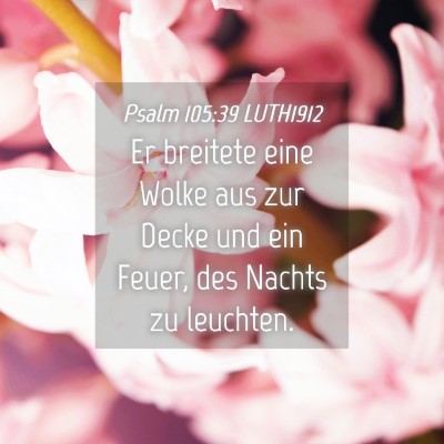 Picture 04 - Psalm 105:39 LUTH1912 - Er breitete eine Wolke aus zur Decke und ein - Bible Verse Picture