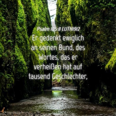 Picture 04 - Psalm 105:8 LUTH1912 - Er gedenkt ewiglich an seinen Bund, des Wortes, - Bible Verse Picture