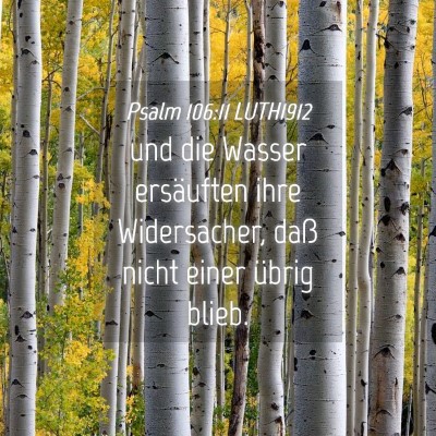 Picture 04 - Psalm 106:11 LUTH1912 - und die Wasser ersäuften ihre Widersacher, daß - Bible Verse Picture