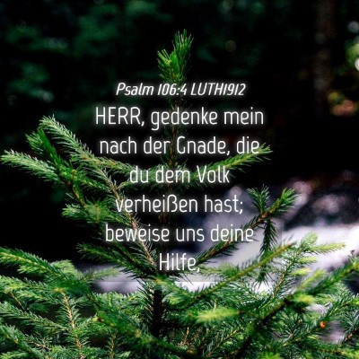 Picture 04 - Psalm 106:4 LUTH1912 - HERR, gedenke mein nach der Gnade, die du dem - Bible Verse Picture