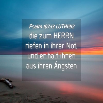 Picture 04 - Psalm 107:13 LUTH1912 - die zum HERRN riefen in ihrer Not, und er half - Bible Verse Picture