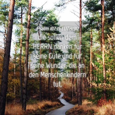 Picture 04 - Psalm 107:15 LUTH1912 - die sollen dem HERRN danken für seine Güte und - Bible Verse Picture