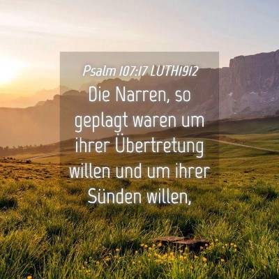 Picture 04 - Psalm 107:17 LUTH1912 - Die Narren, so geplagt waren um ihrer - Bible Verse Picture