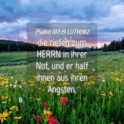 Picture 04 - Psalm 107:19 LUTH1912 - die riefen zum HERRN in ihrer Not, und er half - Bible Verse Picture