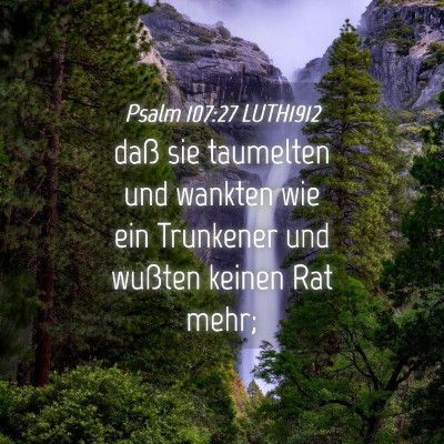 Picture 04 - Psalm 107:27 LUTH1912 - daß sie taumelten und wankten wie ein Trunkener - Bible Verse Picture
