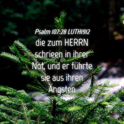 Picture 04 - Psalm 107:28 LUTH1912 - die zum HERRN schrieen in ihrer Not, und er - Bible Verse Picture