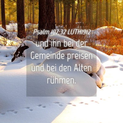 Picture 04 - Psalm 107:32 LUTH1912 - und ihn bei der Gemeinde preisen und bei den - Bible Verse Picture