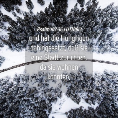Picture 04 - Psalm 107:36 LUTH1912 - und hat die Hungrigen dahingesetzt, daß sie eine - Bible Verse Picture