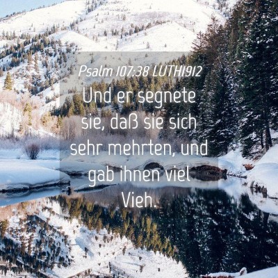 Picture 04 - Psalm 107:38 LUTH1912 - Und er segnete sie, daß sie sich sehr mehrten, - Bible Verse Picture