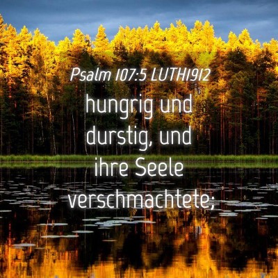 Picture 04 - Psalm 107:5 LUTH1912 - hungrig und durstig, und ihre Seele - Bible Verse Picture