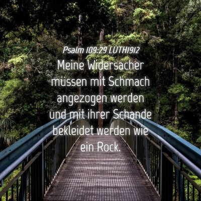 Picture 04 - Psalm 109:29 LUTH1912 - Meine Widersacher müssen mit Schmach angezogen - Bible Verse Picture