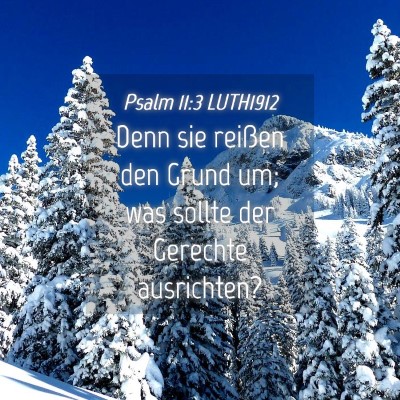 Picture 04 - Psalm 11:3 LUTH1912 - Denn sie reißen den Grund um; was sollte der - Bible Verse Picture