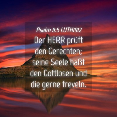 Picture 04 - Psalm 11:5 LUTH1912 - Der HERR prüft den Gerechten; seine Seele haßt - Bible Verse Picture