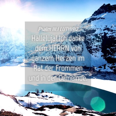 Picture 04 - Psalm 111:1 LUTH1912 - Halleluja! Ich danke dem HERRN von ganzem Herzen - Bible Verse Picture