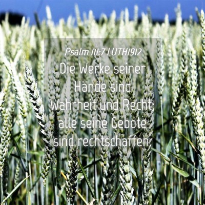 Picture 04 - Psalm 111:7 LUTH1912 - Die Werke seiner Hände sind Wahrheit und Recht; - Bible Verse Picture
