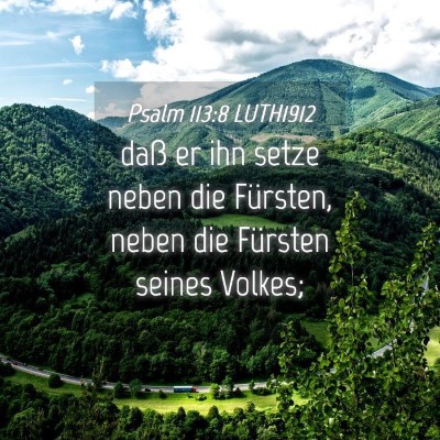 Picture 04 - Psalm 113:8 LUTH1912 - daß er ihn setze neben die Fürsten, neben die - Bible Verse Picture