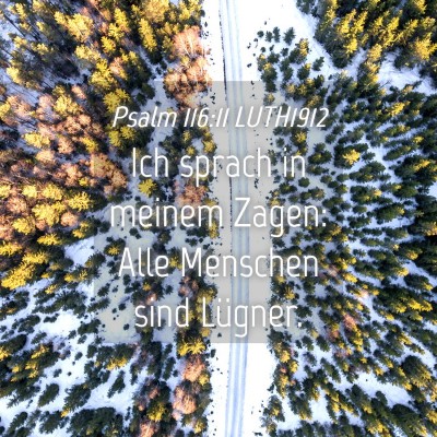Picture 04 - Psalm 116:11 LUTH1912 - Ich sprach in meinem Zagen: Alle Menschen sind - Bible Verse Picture