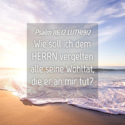 Picture 04 - Psalm 116:12 LUTH1912 - Wie soll ich dem HERRN vergelten alle seine - Bible Verse Picture