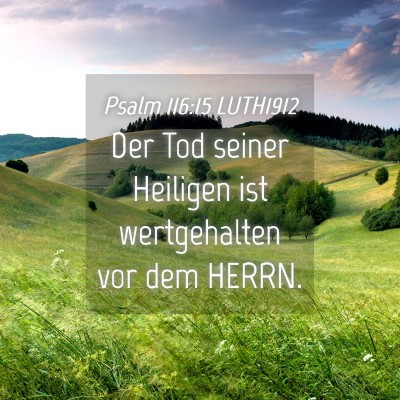 Picture 04 - Psalm 116:15 LUTH1912 - Der Tod seiner Heiligen ist wertgehalten vor dem - Bible Verse Picture