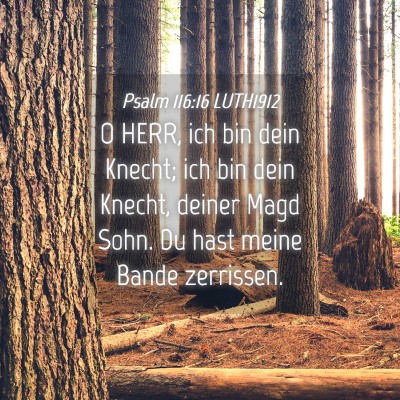 Picture 04 - Psalm 116:16 LUTH1912 - O HERR, ich bin dein Knecht; ich bin dein Knecht, - Bible Verse Picture