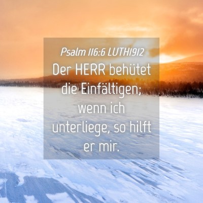 Picture 04 - Psalm 116:6 LUTH1912 - Der HERR behütet die Einfältigen; wenn ich - Bible Verse Picture
