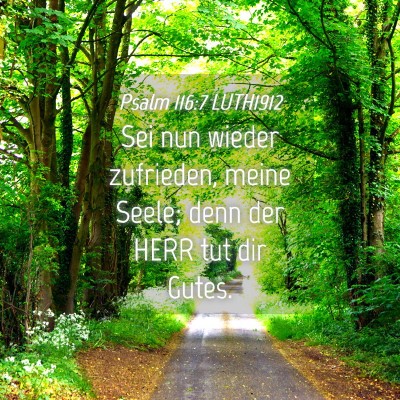 Picture 04 - Psalm 116:7 LUTH1912 - Sei nun wieder zufrieden, meine Seele; denn der - Bible Verse Picture