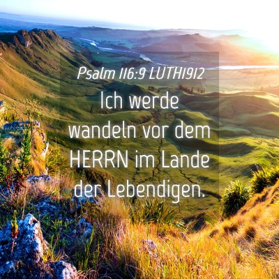 Picture 04 - Psalm 116:9 LUTH1912 - Ich werde wandeln vor dem HERRN im Lande der - Bible Verse Picture