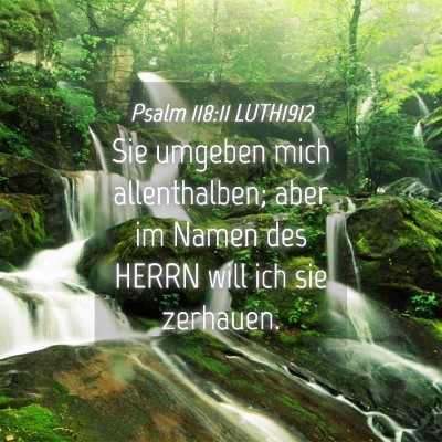Picture 04 - Psalm 118:11 LUTH1912 - Sie umgeben mich allenthalben; aber im Namen des - Bible Verse Picture