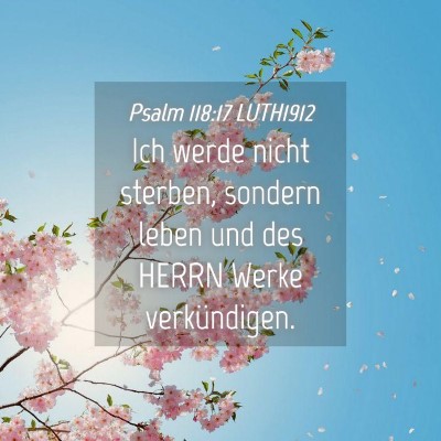 Picture 04 - Psalm 118:17 LUTH1912 - Ich werde nicht sterben, sondern leben und des - Bible Verse Picture