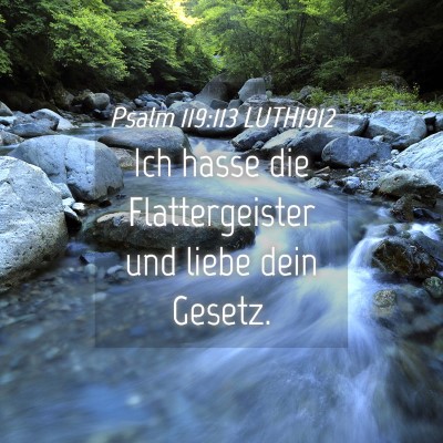 Picture 04 - Psalm 119:113 LUTH1912 - Ich hasse die Flattergeister und liebe dein - Bible Verse Picture
