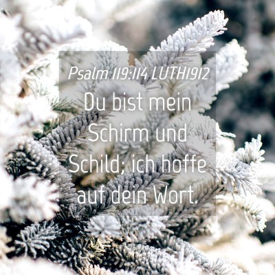 Picture 04 - Psalm 119:114 LUTH1912 - Du bist mein Schirm und Schild; ich hoffe auf - Bible Verse Picture