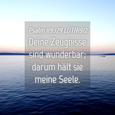 Picture 04 - Psalm 119:129 LUTH1912 - Deine Zeugnisse sind wunderbar; darum hält sie - Bible Verse Picture