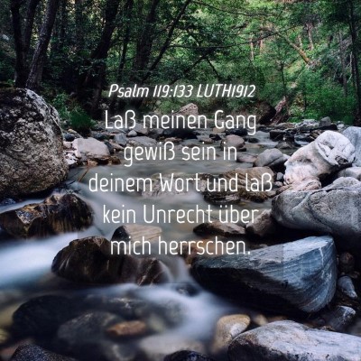 Picture 04 - Psalm 119:133 LUTH1912 - Laß meinen Gang gewiß sein in deinem Wort und - Bible Verse Picture