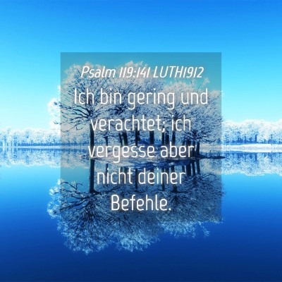 Picture 04 - Psalm 119:141 LUTH1912 - Ich bin gering und verachtet; ich vergesse aber - Bible Verse Picture